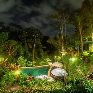 https://the-jungle-villa.ubudhotelsnow.com